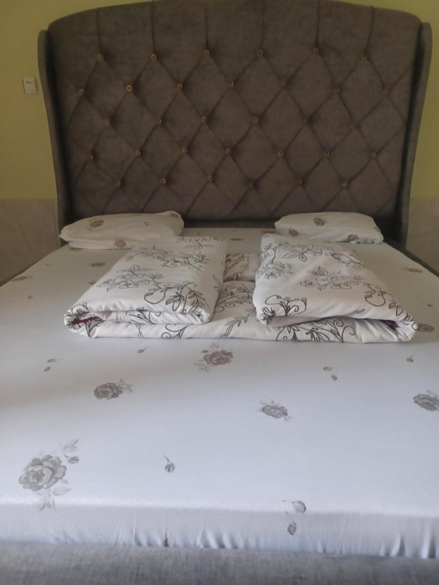 Ignite Guest House Жизени Екстериор снимка